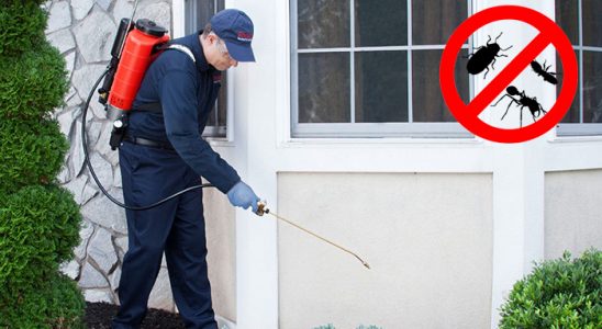 Evka 1 Pire İlaçlama böcek ilaçlama ve haşere kontrolü — ilaclama-tr.com
